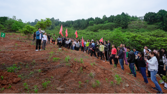 省新利体育luck18集团开展龙泉山都会森林公园 “包山头”植树运动